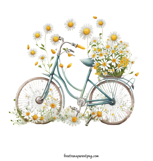 Free Flowers Daisy Watercolor Daisy Bike For Daisy Clipart Transparent Background