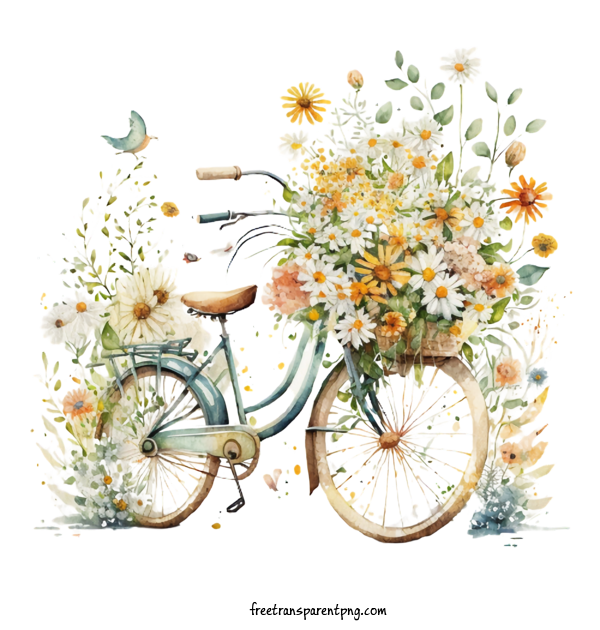 Free Flowers Daisy Watercolor Daisy Bicycle For Daisy Clipart Transparent Background