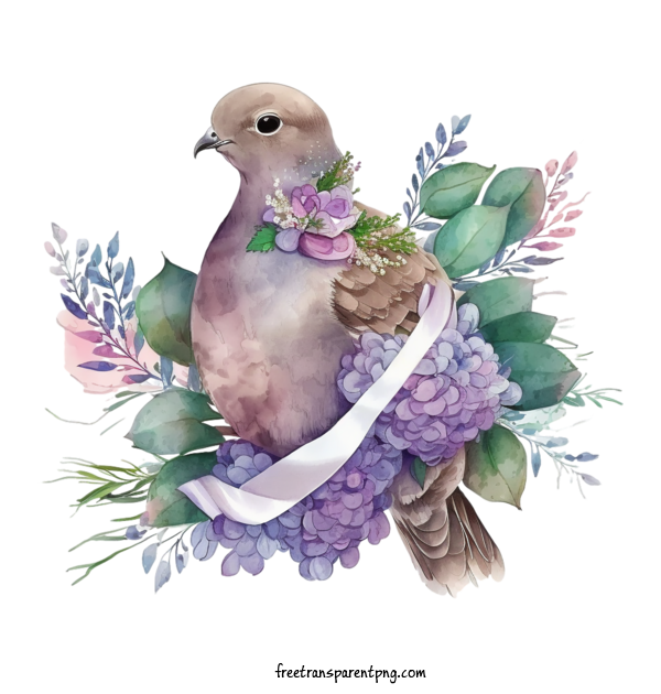 Free Animals Pigeon Dove Pigeon For Pigeon Clipart Transparent Background