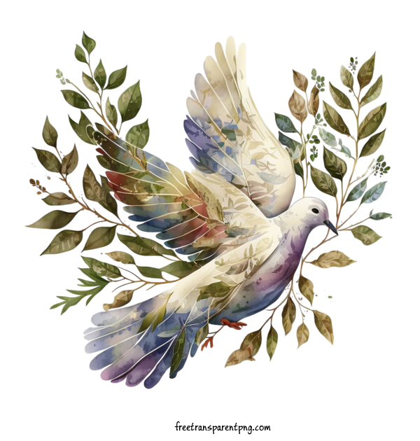 Free Animals Pigeon Dove Dove For Pigeon Clipart Transparent Background