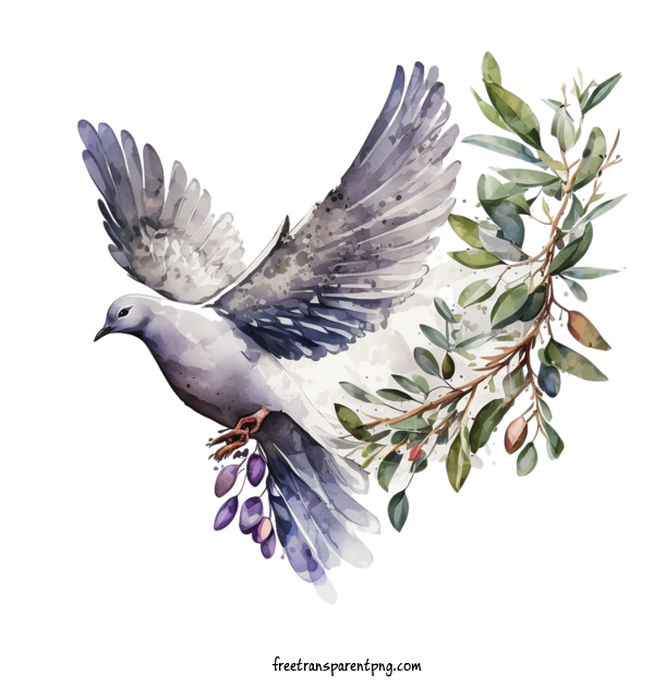 Free Animals Pigeon Dove Doves For Pigeon Clipart Transparent Background