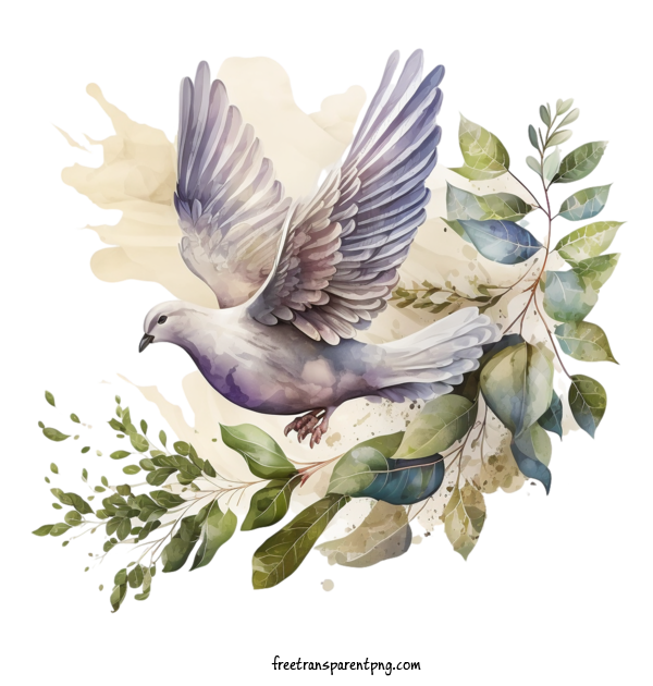Free Animals Pigeon Dove Dove For Pigeon Clipart Transparent Background