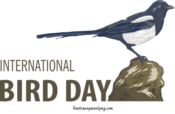Free Holidays Bird Day Bird Bird Watching For International Bird Day Clipart Transparent Background