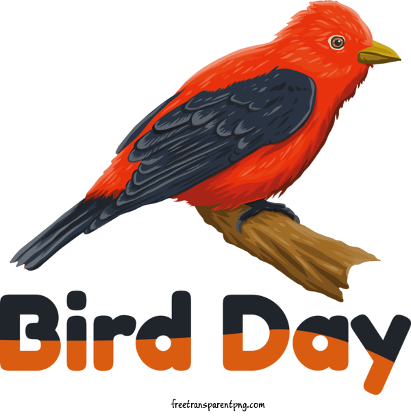 Free Holidays Bird Day Bird Day For International Bird Day Clipart Transparent Background