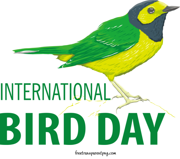 Free Holidays Bird Day Birds Feathers For International Bird Day Clipart Transparent Background