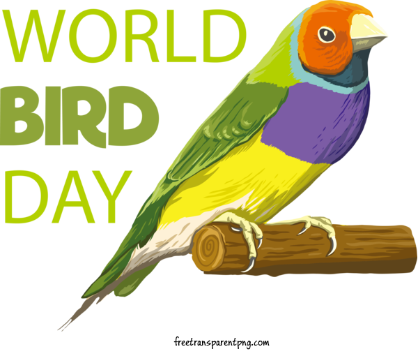 Free Holidays Bird Day World Bird Day Bird Day For International Bird Day Clipart Transparent Background
