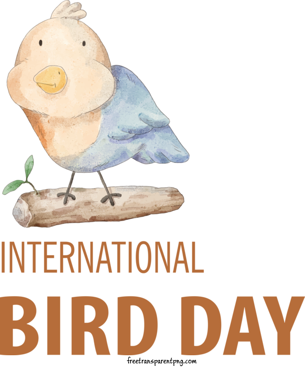 Free Holidays Bird Day Bird Day Avian For International Bird Day Clipart Transparent Background