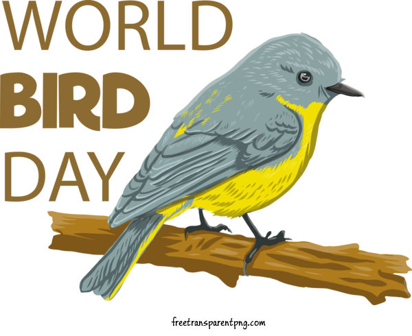 Free Holidays Bird Day World Bird Day Bird Conservation For International Bird Day Clipart Transparent Background