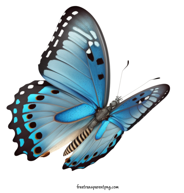 Free Animals Butterfly Blue Butterfly Butterfly For Butterfly Clipart Transparent Background