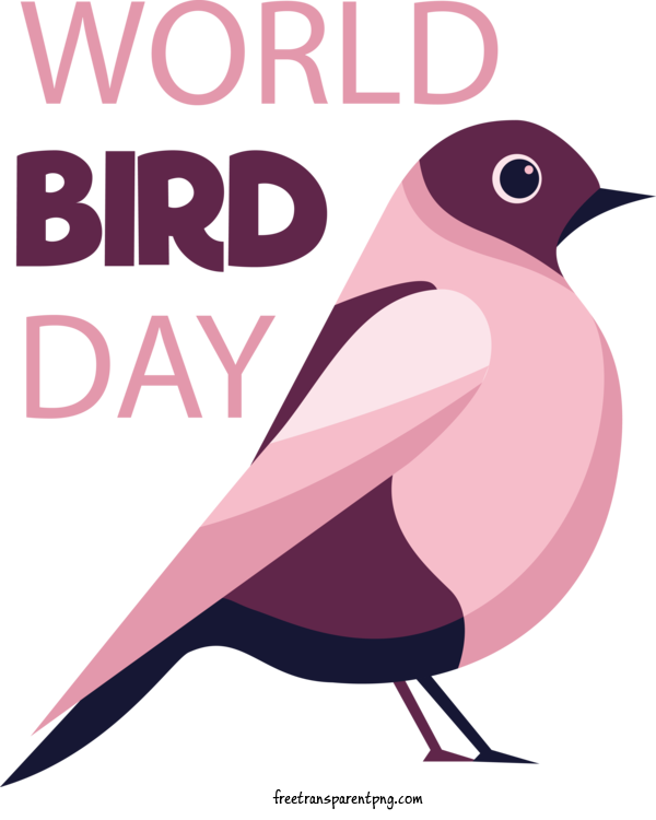 Free Holidays Bird Day Bird Pink For International Bird Day Clipart Transparent Background