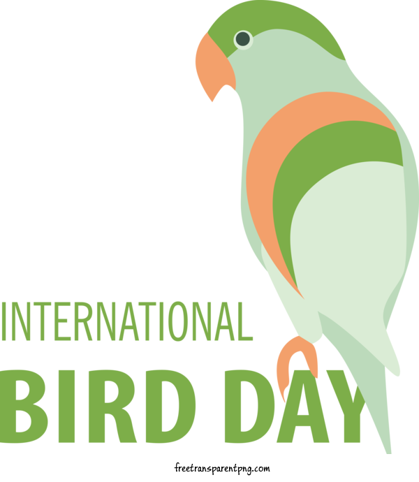 Free Holidays Bird Day International Bird Day Bird Conservation For International Bird Day Clipart Transparent Background