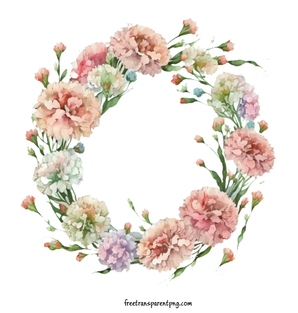 Free Flowers Carnations Watercolor Carnations Carnations Wreath For Carnation Clipart Transparent Background