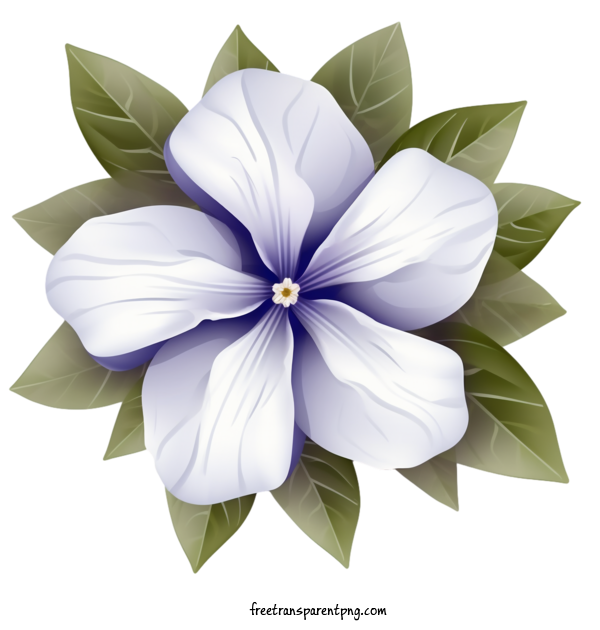 Free Flowers Vinca Flower Petals Blue For Vinca Flower Clipart Transparent Background