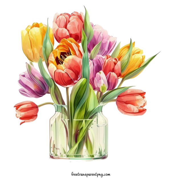 Free Flowers Tulip Tulips Flowers For Tulip Clipart Transparent Background