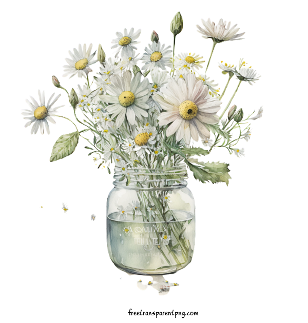 Free Flowers Daisy Glass Jar Daisies For Daisy Clipart Transparent Background