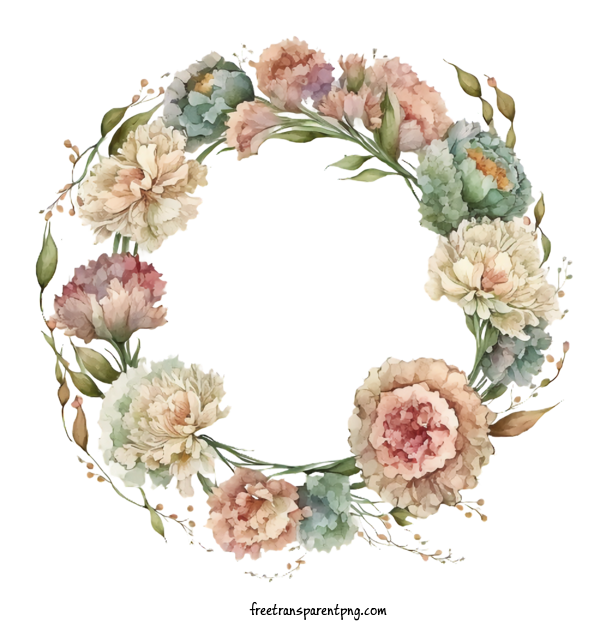 Free Flowers Carnations Watercolor Carnations Carnations Wreath For Carnation Clipart Transparent Background
