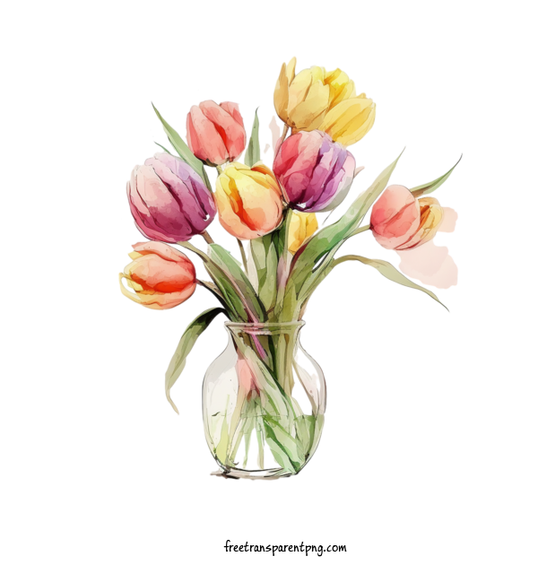 Free Flowers Tulip Flowers Tulips For Tulip Clipart Transparent Background