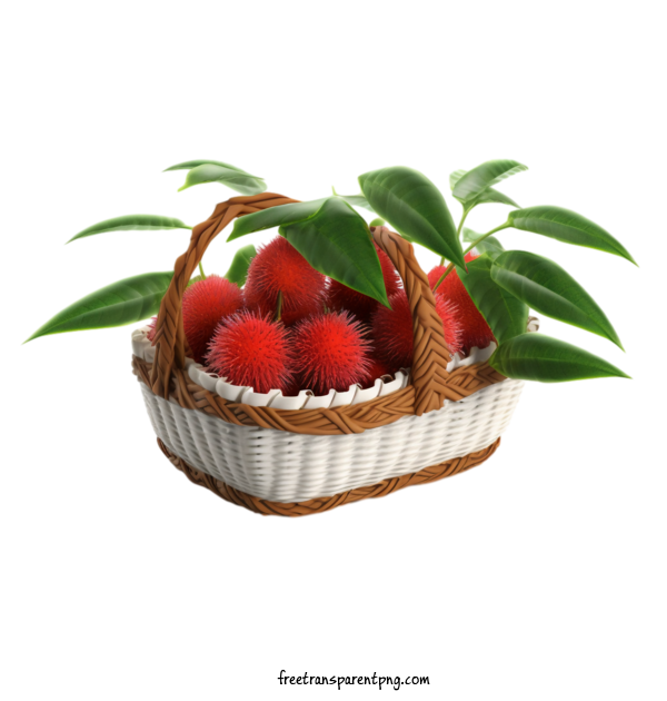 Free Fruit Rambutan Fruit Basket For Rambutan Clipart Transparent Background
