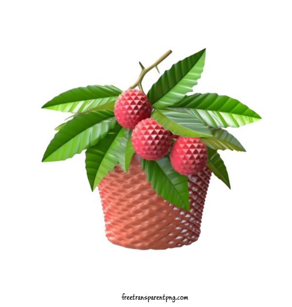 Free Fruit Lychee Fruit Pot For Lychee Clipart Transparent Background