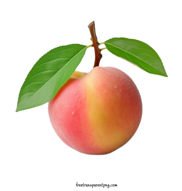 Free Fruit Peach Peach Fruit For Peach Clipart Transparent Background