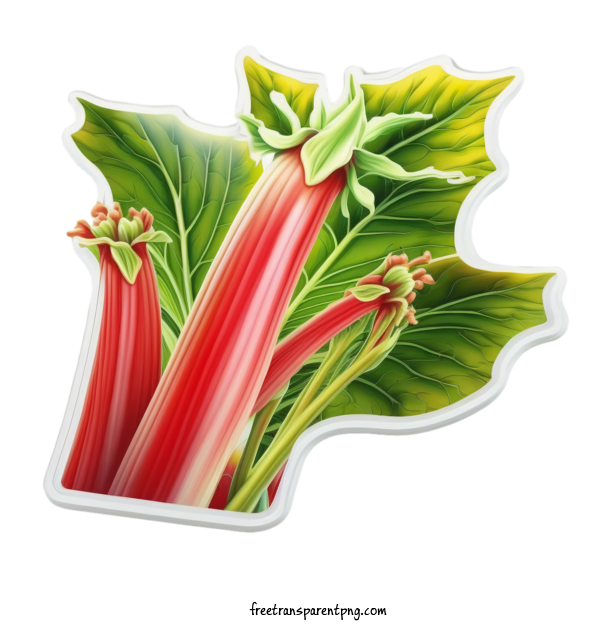 Free Vegetable Rhubarb Ruth Strawberry For Rhubarb Clipart Transparent Background