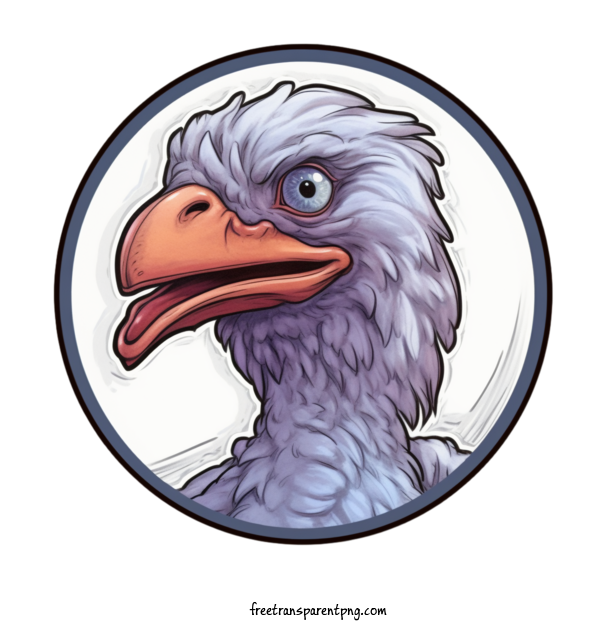 Free Animals Dodo Anatomy Head For Dodo Clipart Transparent Background