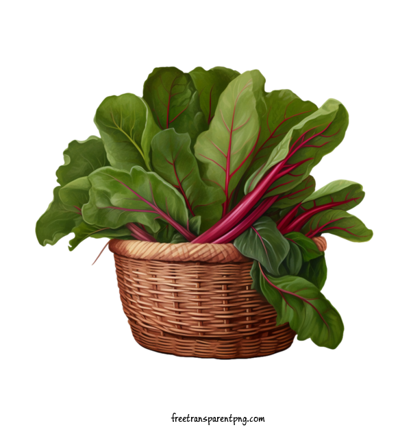 Free Vegetable Beet Greens Swiss Chard Beet Greens For Beet Greens Clipart Transparent Background