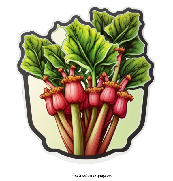 Free Vegetable Rhubarb Image Content Rhubarb For Rhubarb Clipart Transparent Background