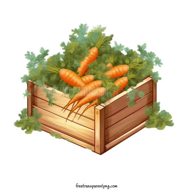 Free Vegetable Carrot Carrots Wooden Crate For Carrot Clipart Transparent Background