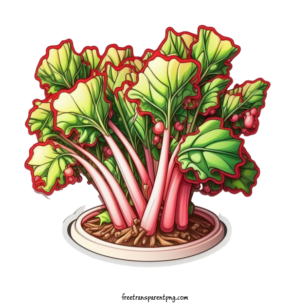 Free Vegetable Rhubarb Rhubarb Red For Rhubarb Clipart Transparent Background