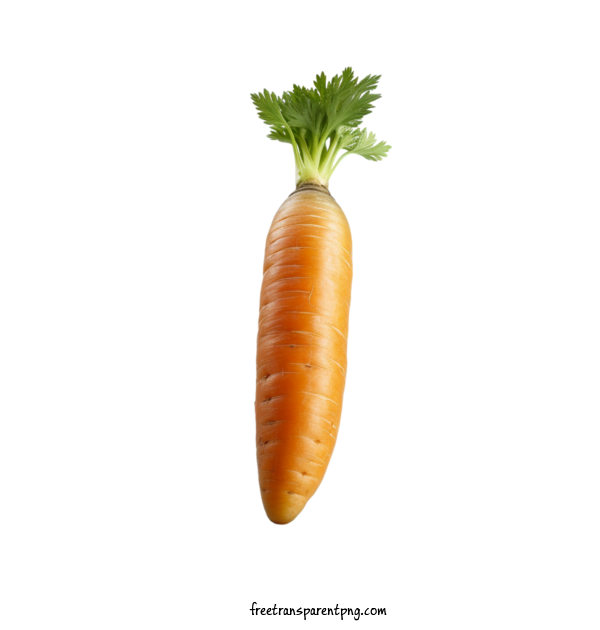 Free Vegetable Carrot Carrot Vegetable For Carrot Clipart Transparent Background