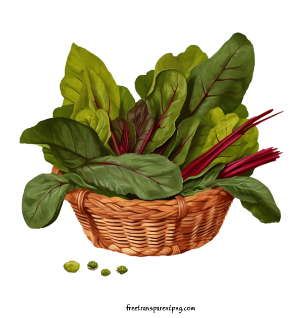Free Vegetable Beet Greens Spinach Beets For Beet Greens Clipart Transparent Background