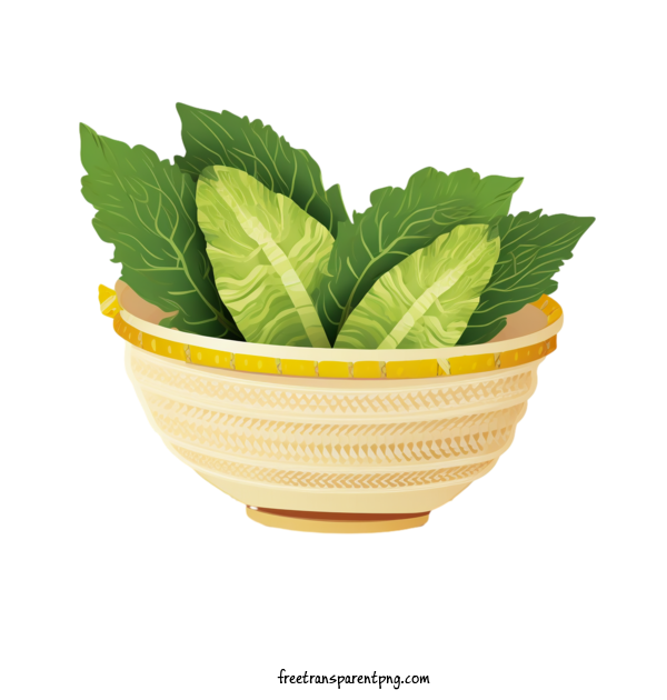 Free Vegetable Chinese Cabbage Salad Leafy Greens For Chinese Cabbage Clipart Transparent Background