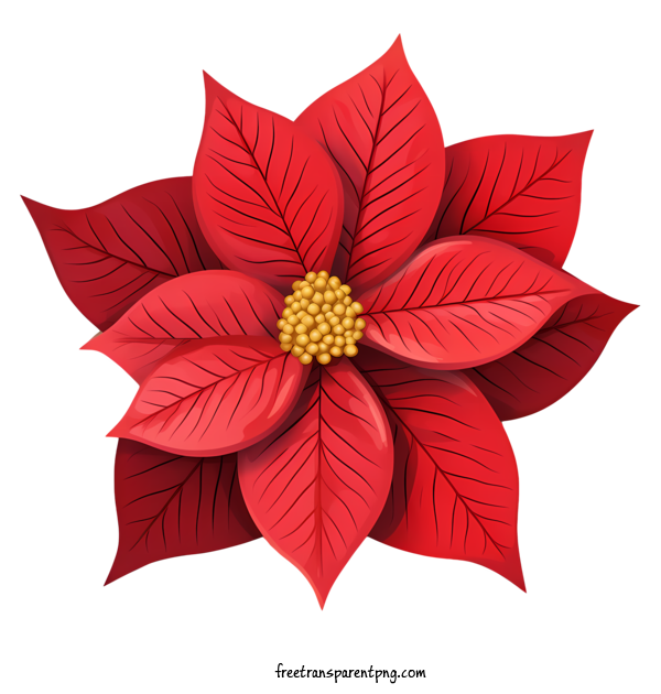 Free Winter Poinsettia Winter Poinsettia Red Poinsettia Poinsettia Flower For Winter Poinsettia Clipart Transparent Background