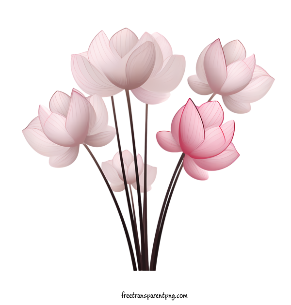 Free Lotus Flower Lotus Flower Pink Flowers Bouquet For Lotus Flower Clipart Transparent Background