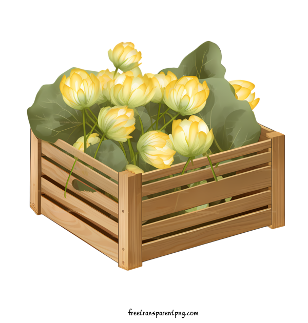 Free Lotus Flower Lotus Flower Flower Box Wooden Box For Lotus Flower Clipart Transparent Background