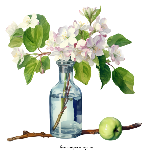Free Apple Blossom Apple Blossom Apple Vase For Apple Blossom Clipart Transparent Background