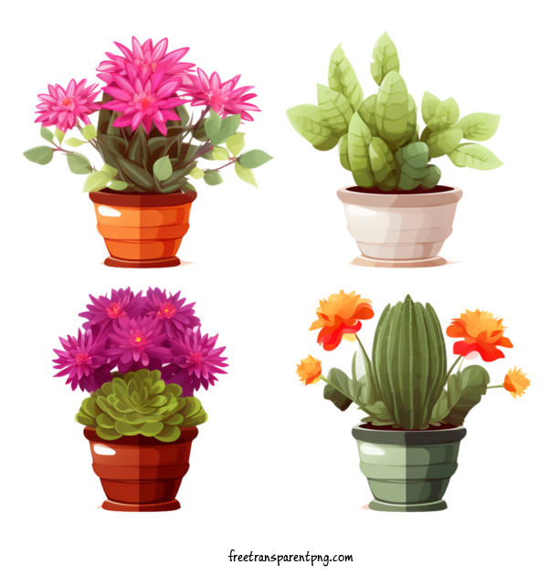 Free Cactus Cactus Img> Flowers Plants For Cactus Clipart Transparent Background