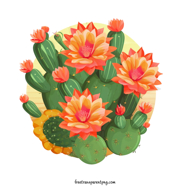 Free Cactus Cactus Cactus Flowers For Cactus Clipart Transparent Background