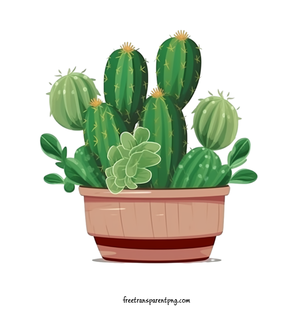 Free Cactus Cactus Cactus Succulent For Cactus Clipart Transparent Background