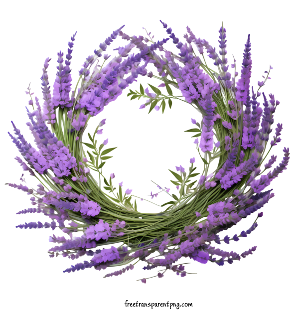 Free Lavender Wreath Lavender Wreath Purple Lavender For Lavender Wreath Clipart Transparent Background