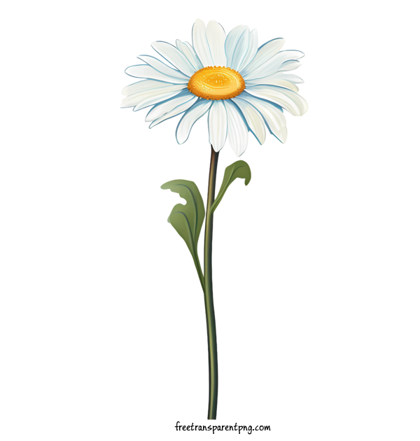 Free Daisy Flower Daisy Flower Flower Daisy For Daisy Flower Clipart Transparent Background