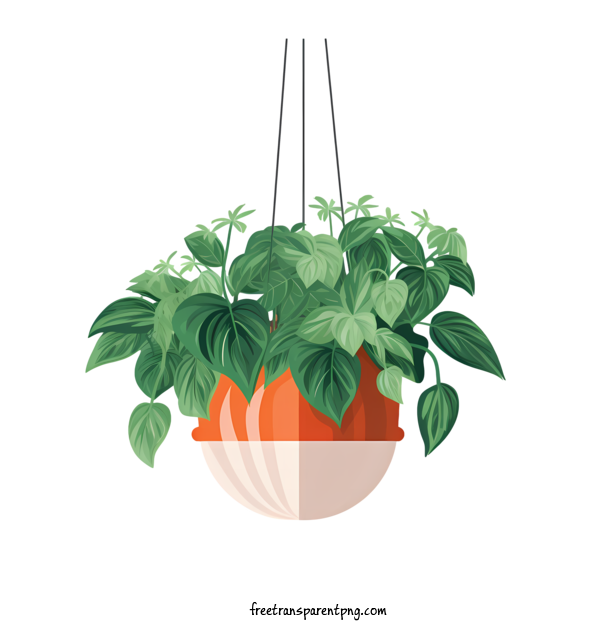 Free Hanging Plant With Pot Hanging Plant With Pot Potted Plant Hanging Plant For Hanging Plant With Pot Clipart Transparent Background