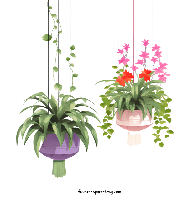 Free Hanging Plant With Pot Hanging Plant With Pot Plant Hanging Planter For Hanging Plant With Pot Clipart Transparent Background
