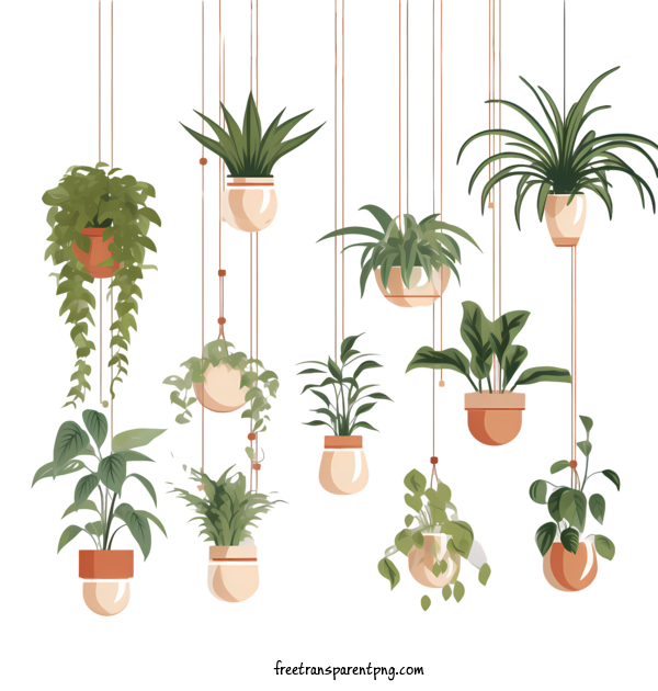 Free Hanging Plant With Pot Hanging Plant With Pot Pot Hanging For Hanging Plant With Pot Clipart Transparent Background