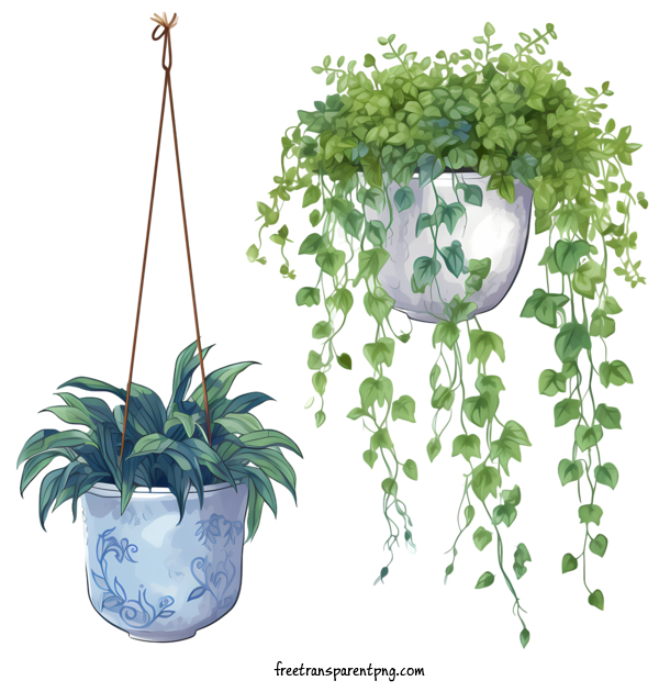 Free Hanging Plant With Pot Hanging Plant With Pot Pot Hanging Basket For Hanging Plant With Pot Clipart Transparent Background