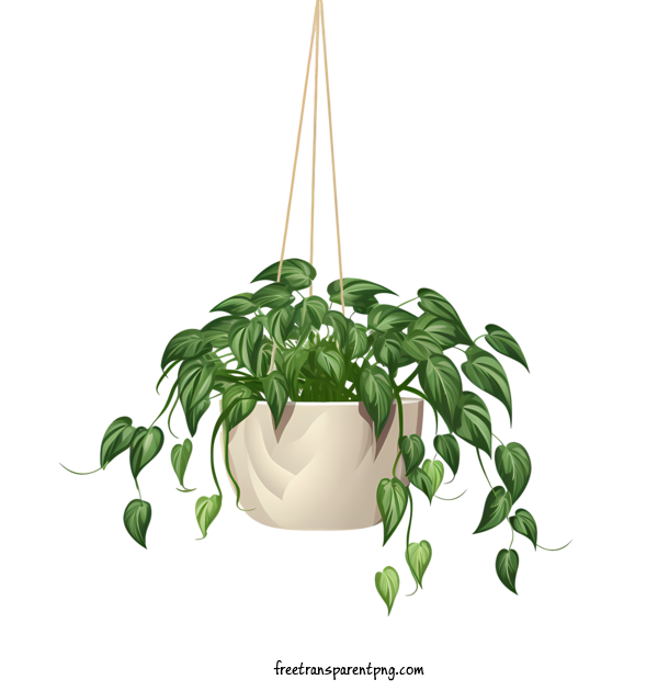 Free Hanging Plant With Pot Hanging Plant With Pot Planter Greenery For Hanging Plant With Pot Clipart Transparent Background