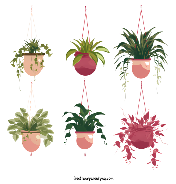 Free Hanging Plant With Pot Hanging Plant With Pot Plant Hanging For Hanging Plant With Pot Clipart Transparent Background
