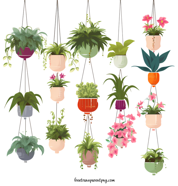 Free Hanging Plant With Pot Hanging Plant With Pot Houseplant Hanging For Hanging Plant With Pot Clipart Transparent Background