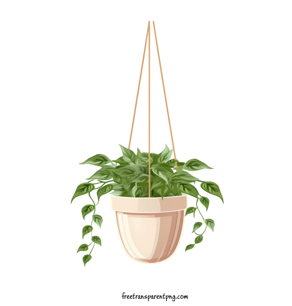 Free Hanging Plant With Pot Hanging Plant With Pot Potted Plant Greenery For Hanging Plant With Pot Clipart Transparent Background